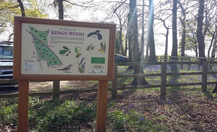 Kings Wood May 2016 - new interpretation panel